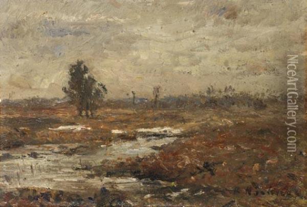 Moorlandschaft Oil Painting - Rudolf Hockner