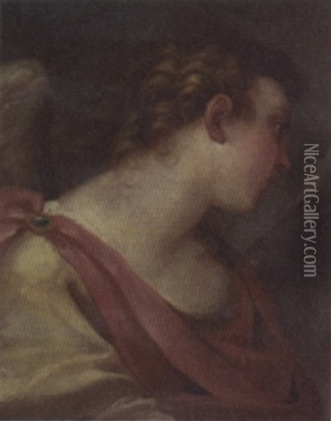 Head Of An Angel Oil Painting - Giovanni Antonio Pellegrini