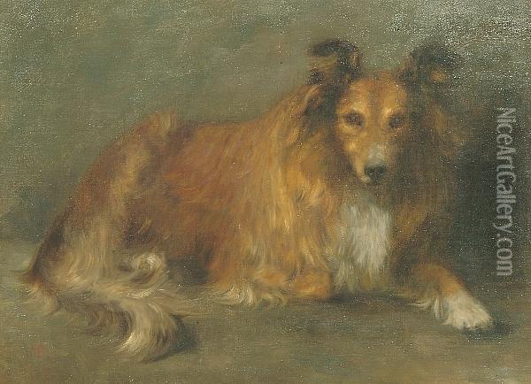 Study Of A Collie Oil Painting - Mary Elizabeth Berry