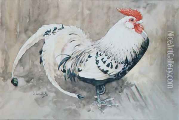 A Cockerel Oil Painting - Joseph Crawhall