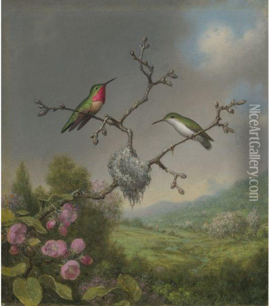Hummingbirds And Apple Blossoms Oil Painting - Martin Johnson Heade