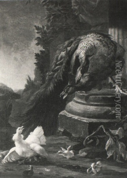 A Peacock And Other Wildfowl At The Base Of A Column Oil Painting - Melchior de Hondecoeter