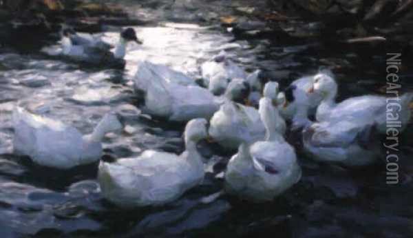 Zehn Weise Enten Auf Dem Wasser Oil Painting - Alexander Max Koester