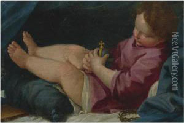 Sleeping Christ Child Oil Painting - Donato Creti
