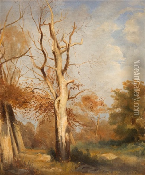 Waldstuck Oil Painting - Carl Maria Nicolaus Hummel