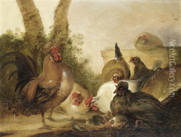A Farmyard Scene With Chickens Oil Painting - Gysbert Gillisz de Hondecoeter