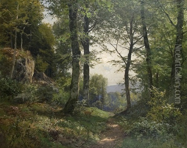 View On A Wood Glade Oil Painting - Heinrich Boehmer