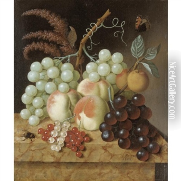 Still Life With Peaches, Apricots, Grapes, Berries, A Fly And A Butterfly On A Marble Ledge Oil Painting - Jan Evert Morel the Elder