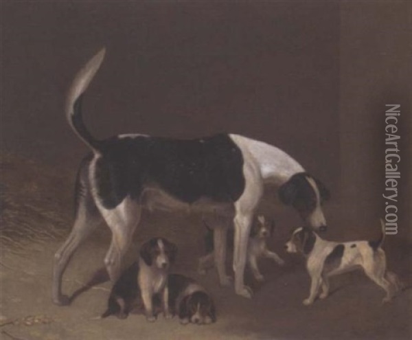 A Foxhound And Her Litter Oil Painting - Edwin Cooper