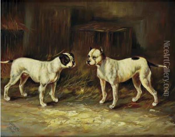  Les Boston Terriers  Oil Painting - George Paice