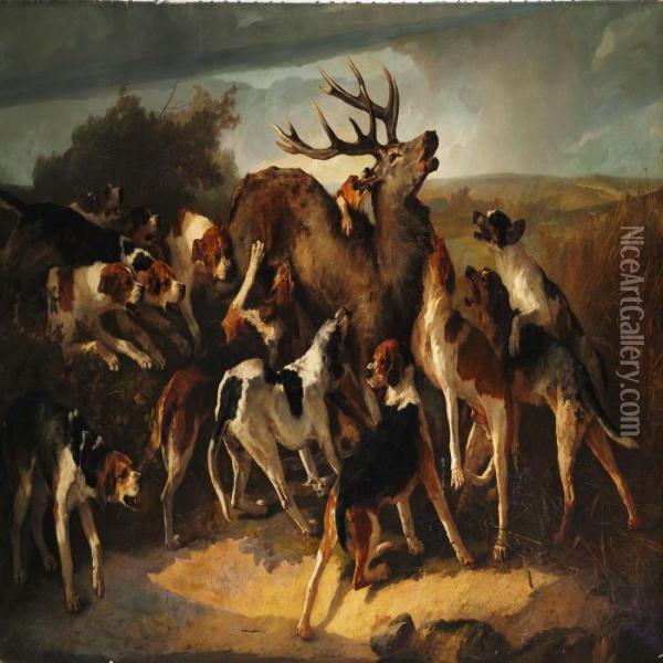 Hunting Scene With Dogs Attacking A Stag Oil Painting - Joseph Urbain Melin