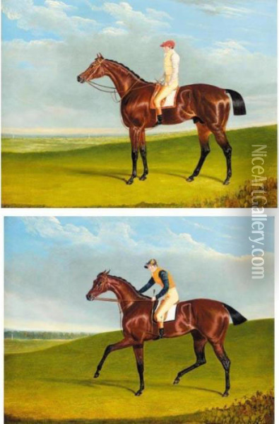 The Duchess Oil Painting - John Frederick Herring Snr