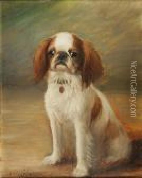 Seated English Toy Spaniel Oil Painting - Henry Crowther