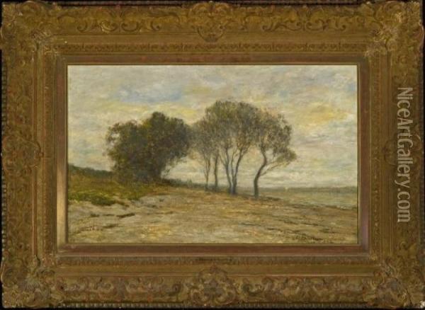 South Side Of Long Island Oil Painting - Homer Dodge Martin