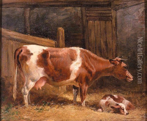 A Cow And Calf In A Stall Oil Painting - John Frederick Herring Snr