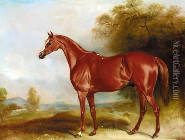 Harkaway, A Chestnut Racehorse In A Landscape Oil Painting - John Snr Ferneley