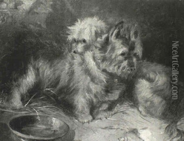 Terriers By A Bowl Oil Painting - George Armfield