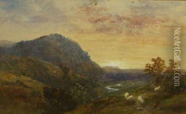 Sunset From Nature Near Poole (see Old Label Verso) Oil Painting - Rex Vicat Cole