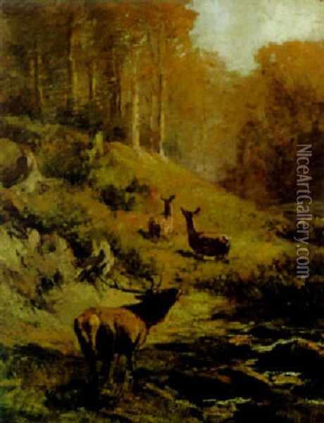Waldidylle Oil Painting - Franz Xaver von Pausinger