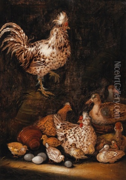 Chickens Oil Painting - Petrus Schotanus