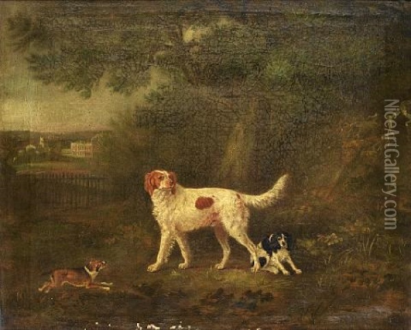 A Red And White Setter With Other Dogs In A Landscape Oil Painting - John E. Ferneley