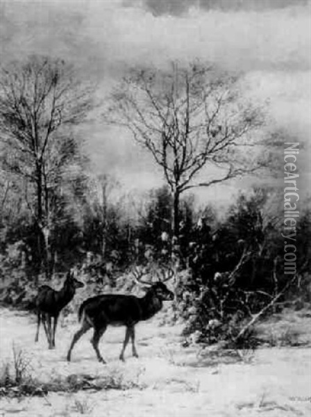 Deer In A Winter Wooded Landscape Oil Painting - William Baptiste Baird