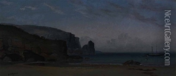 Aground On The Australian Coast Oil Painting - Daniel Charles Grose