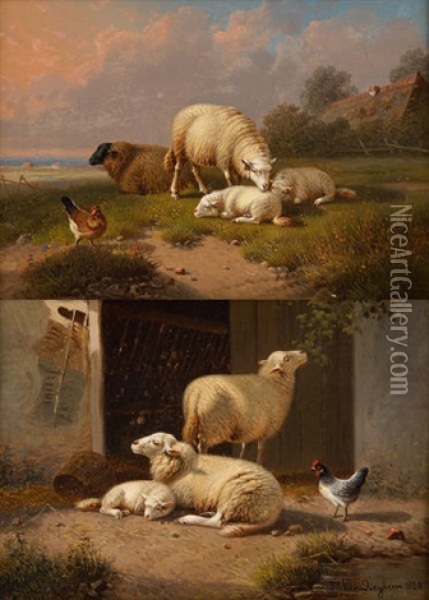 Moutons Au Paturage Et Moutons Dans La Bergerie (2 Works) Oil Painting - Joseph Van Dieghem