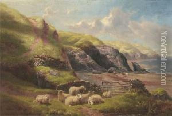 Penllach Bay, Carnarvonshire Oil Painting - William Davies