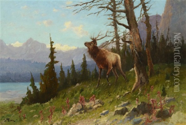 Elk In The Mountains Oil Painting - John Fery