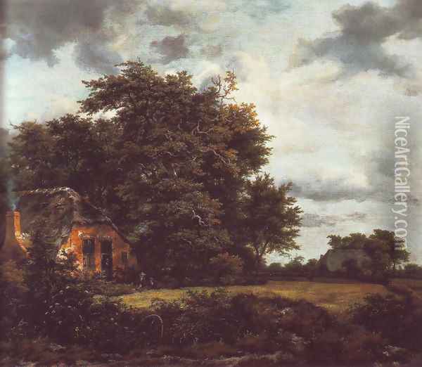 Cottage under trees near a grainfield Oil Painting - Jacob Van Ruisdael