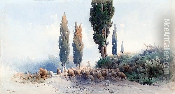 A Shepherd With His Herd, Corfu Oil Painting - Angelos Giallina