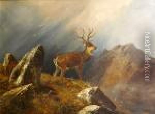 Stag In A Mountain Landscape Oil Painting - Clarence Roe
