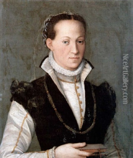 Bildnis Einer Dame, Die In Der Hand Ein Buch Halt Oil Painting - Sofonisba Anguissola