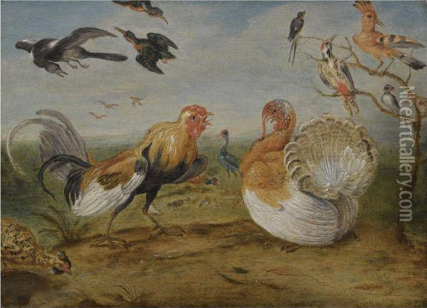 A Landscape With A Cockerel And A Turkey Squabbling, And Otherfowl Oil Painting - Jan van Kessel