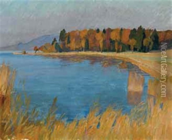 Herbst Am Hallwylersee Oil Painting - Franz Jakob Elmiger