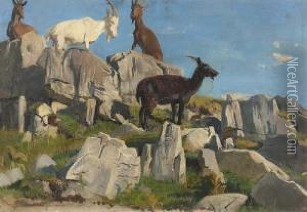 Sommerliche Gebirgspartie Mit Ziegen. Oil Painting - Albert Lugardon
