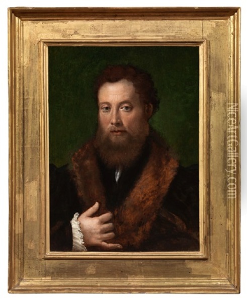 Portrait Of A Gentleman Oil Painting - Innocenzo di Pietro (da Imola) Francucci