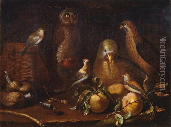 An Owl, Parrot, Hawk And Finches, With Fruit And Hunting Paraphernalia Oil Painting - Bartolommeo Bimbi