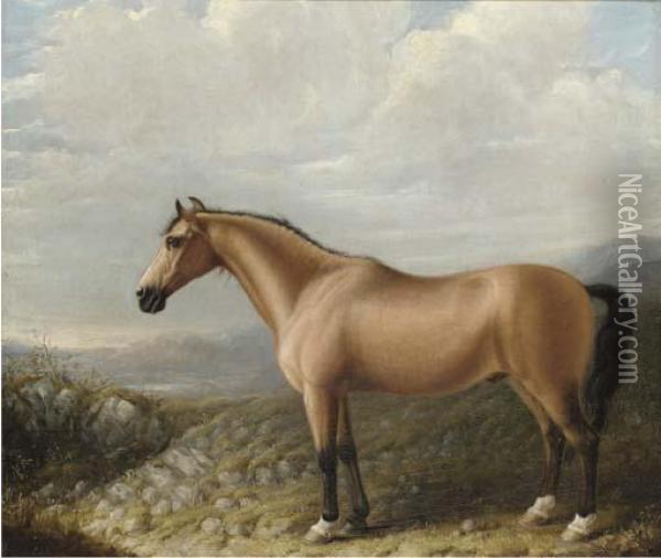 A Palomino Horse In A Mountainous Landscape Oil Painting - Bennet Hubbard