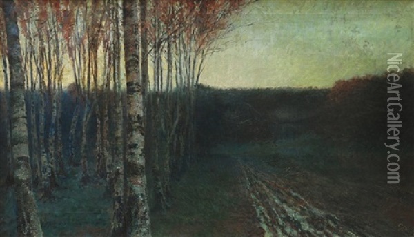 Birch Grove At Dusk Oil Painting - Robert Schlosser