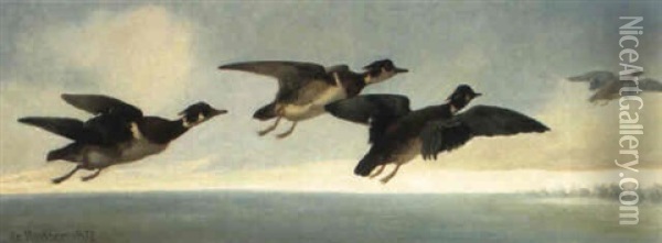 Carolinas In Flight Oil Painting - Isidore De Rudder