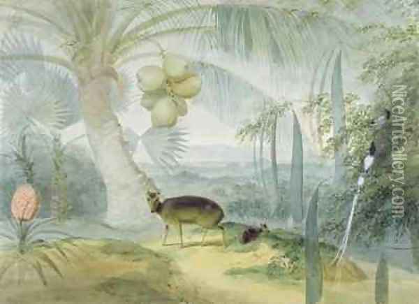 A Landscape in Ceylon with Barking Deer and Fawn and a pair of Paradise Fly Catchers Oil Painting - Samuel Daniell
