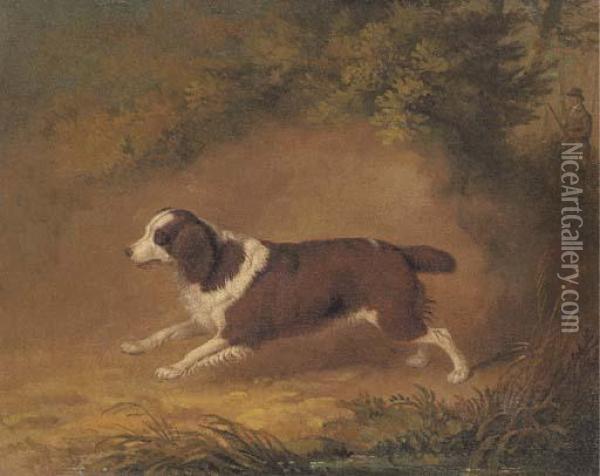 Fanny, A Favourite Spaniel Oil Painting - Dean Wolstenholme, Snr.