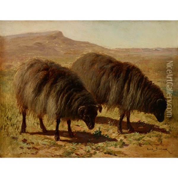 Ovejas (two Sheep) Oil Painting - Rosa Bonheur