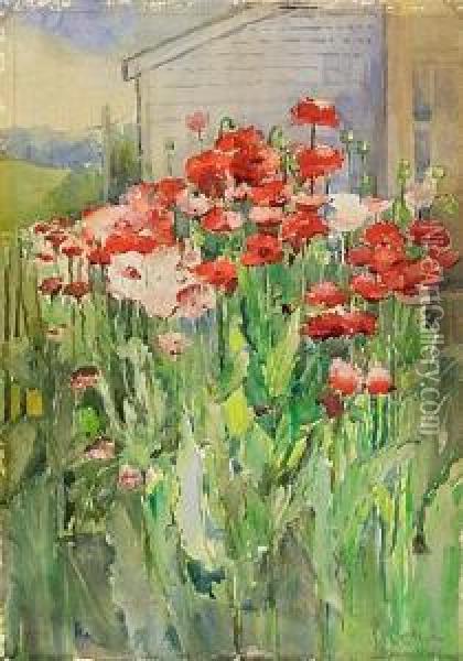 Poppies Oil Painting - Annie Gooding Sykes