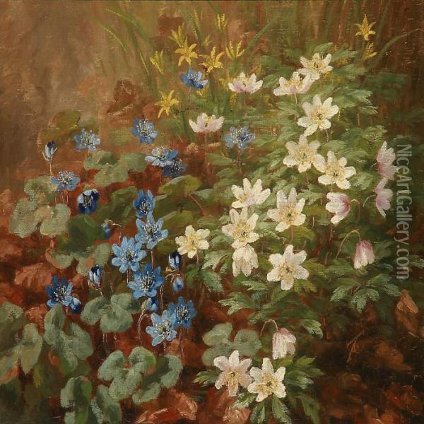 Spring Flowers In A Forest Floor Oil Painting - Anthonie, Anthonore Christensen