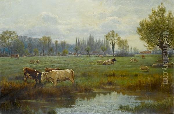 Cattle Watering Oil Painting - Colonel G.R. Brown