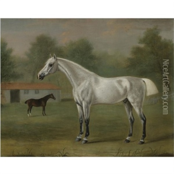 A Grey Horse Oil Painting - Francis Sartorius the Elder