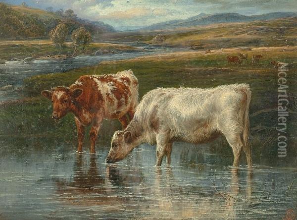 In The Stream, Yorkshire Oil Painting - Charles Jones